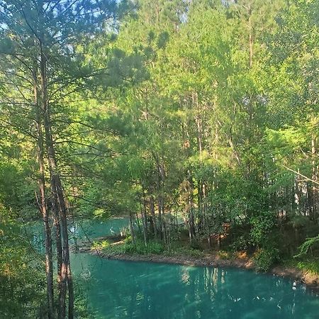 Waterfront Treehouse In A Magical Forest Waller Exterior foto